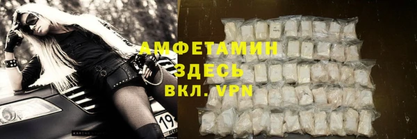 дмт Пересвет