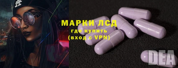 хмурый Осинники