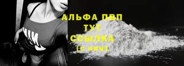 хмурый Осинники