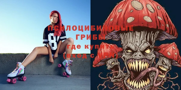 хмурый Осинники