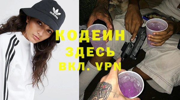 хмурый Осинники
