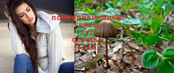 бошки Остров