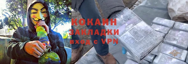 хмурый Осинники