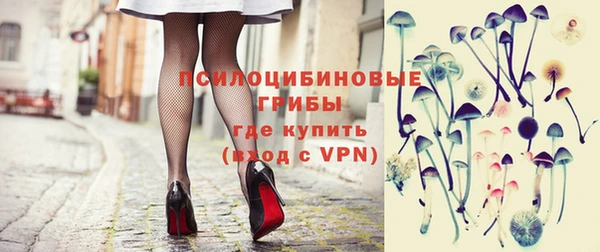 хмурый Осинники
